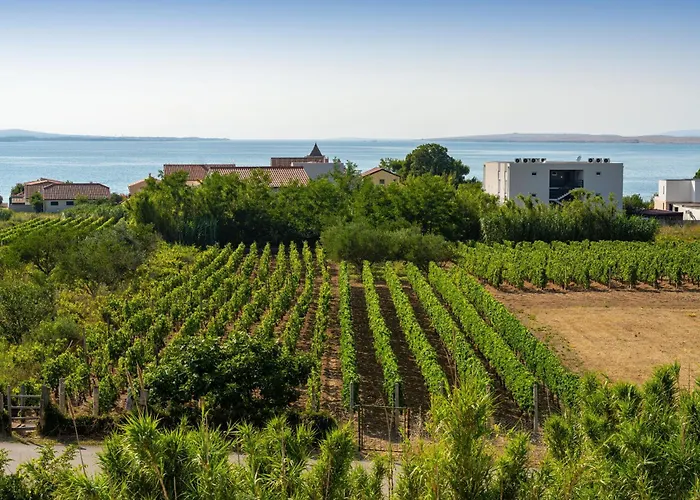 My Dalmatia - Lamag Διαμέρισμα