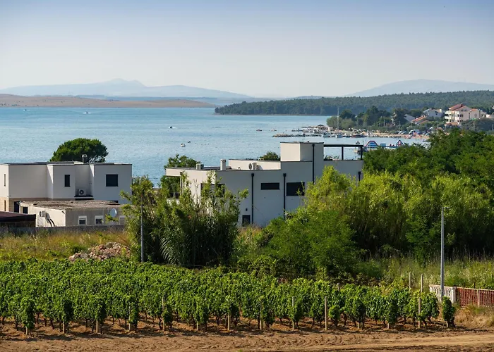 My Dalmatia - Lamag Vrsi